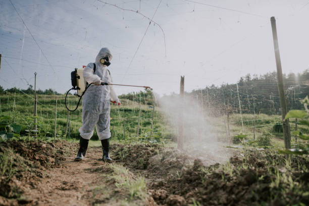 Best Local Pest Control Services  in Enumclaw, WA