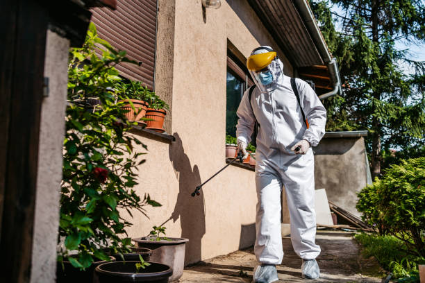 Best Insect Control  in Enumclaw, WA