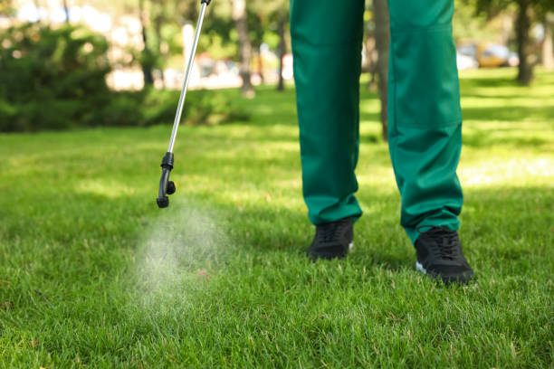 Trusted Enumclaw, WA Pest Control Experts
